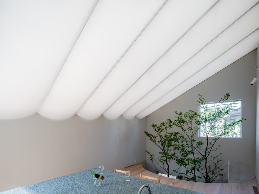 House with a membrane roof竣工写真