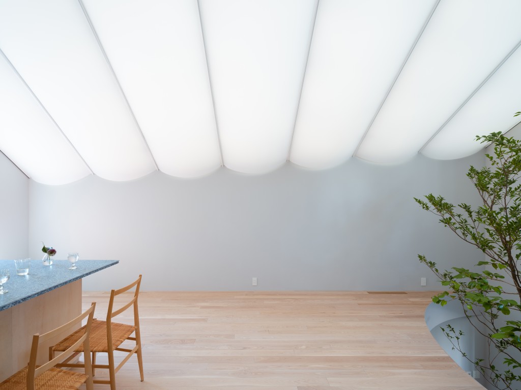 House with membrane roof / Works写真3