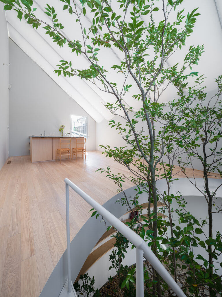 House with membrane roof / Works写真7