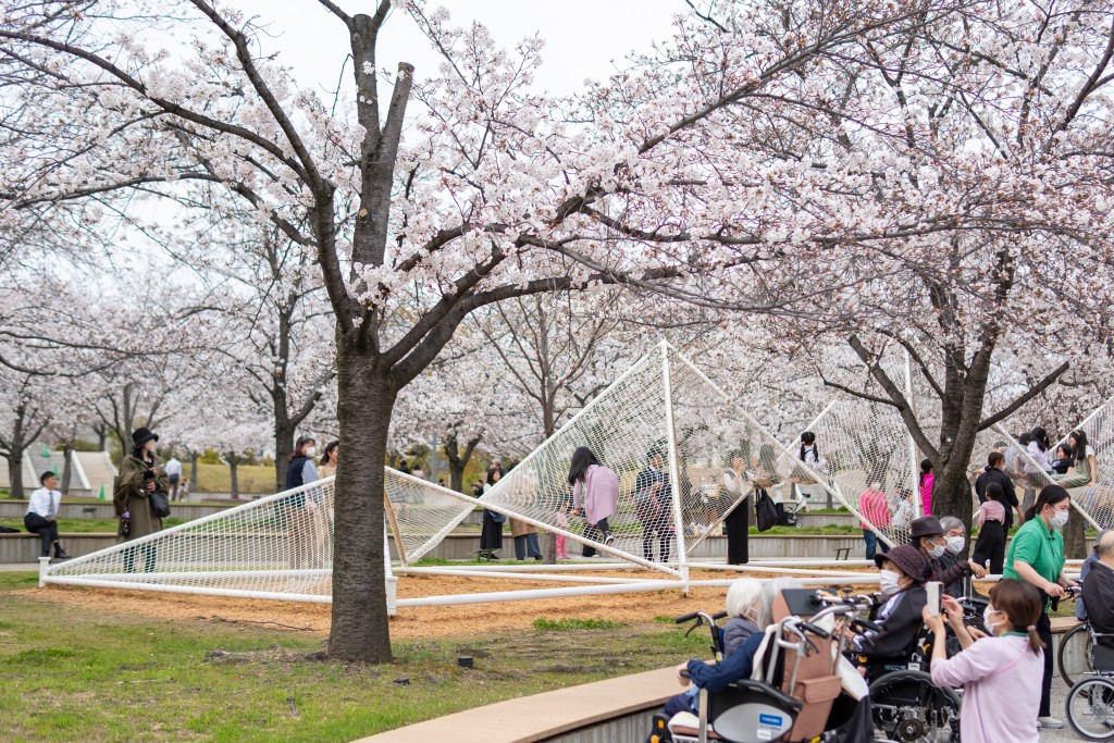 Sea Hammock | SAKURA HIROBA (KADOMA) / Works写真0