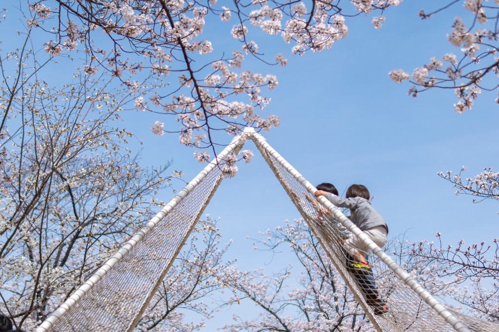 Sea Hammock | SAKURA HIROBA (KADOMA) / Works写真6