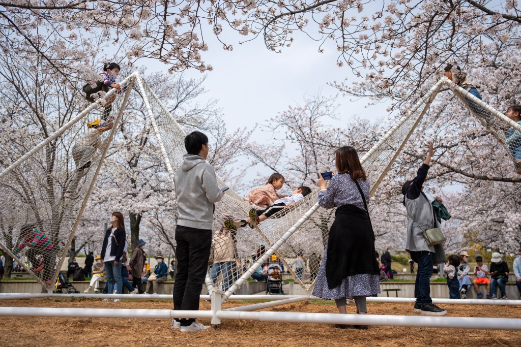 Sea Hammock | SAKURA HIROBA (KADOMA) / Works写真8