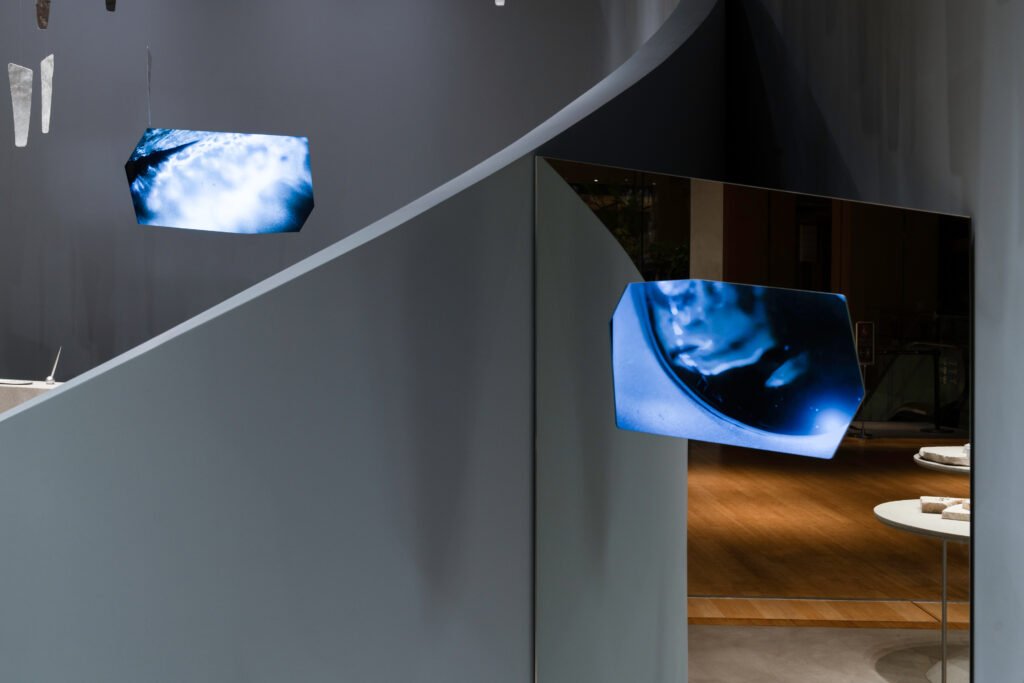 NOUSAKU / NS by NOUSAKU Tokyo Midtown / Works写真13